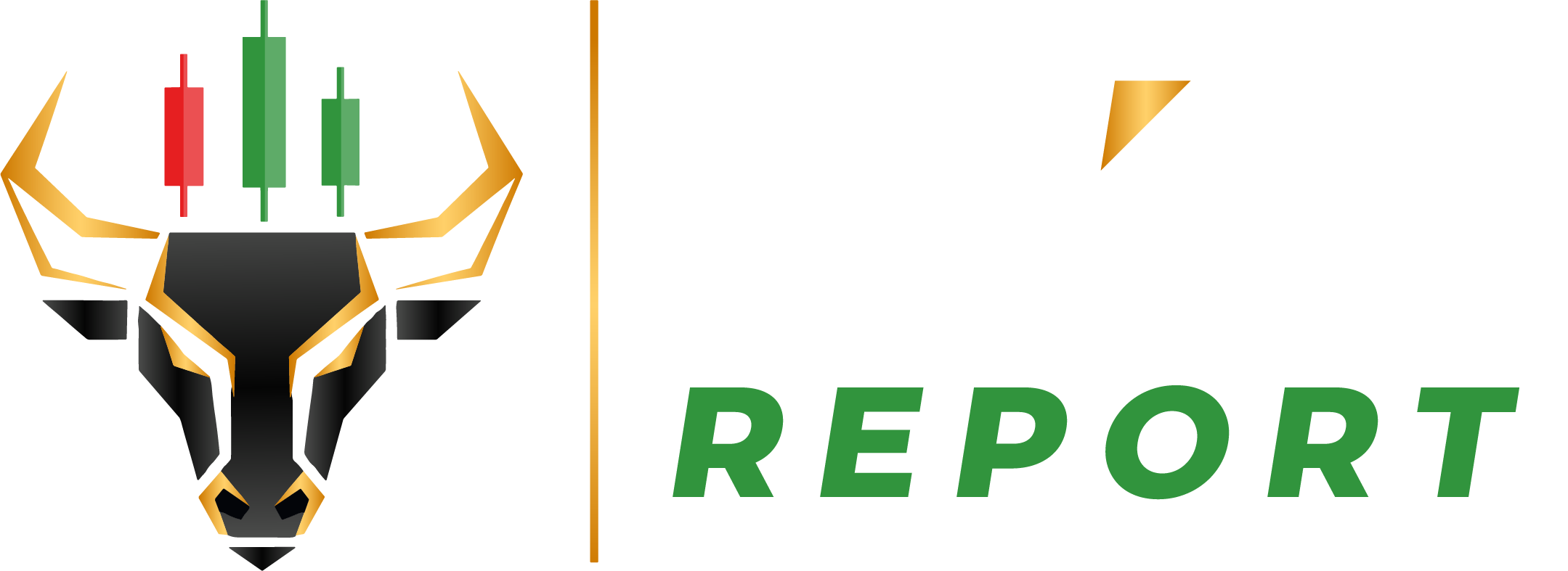 PitReport